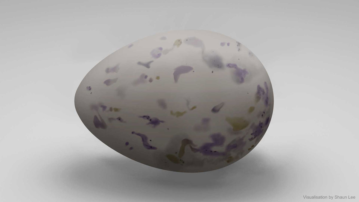 What a preserved whole egg might look like today based on Buswell's illustration.